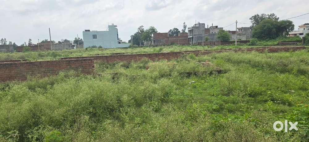 Sales manager/ telecaller