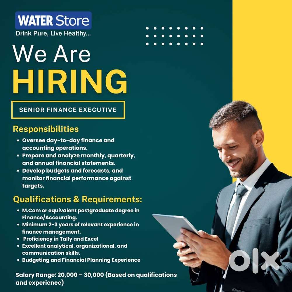 Job Title: Finance Officer