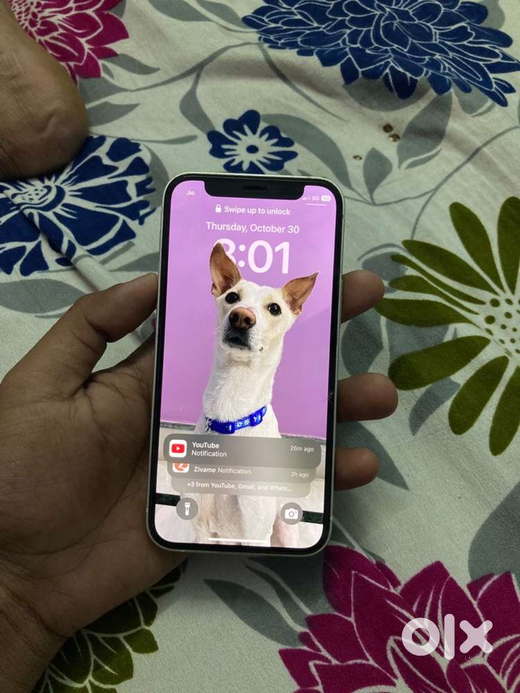 Iphone 12 Mini