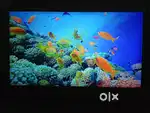 LG Full HD LED Tv 32''inches non smart tv