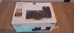 Sony A6100 with 16-50mm and 55-210mm lens