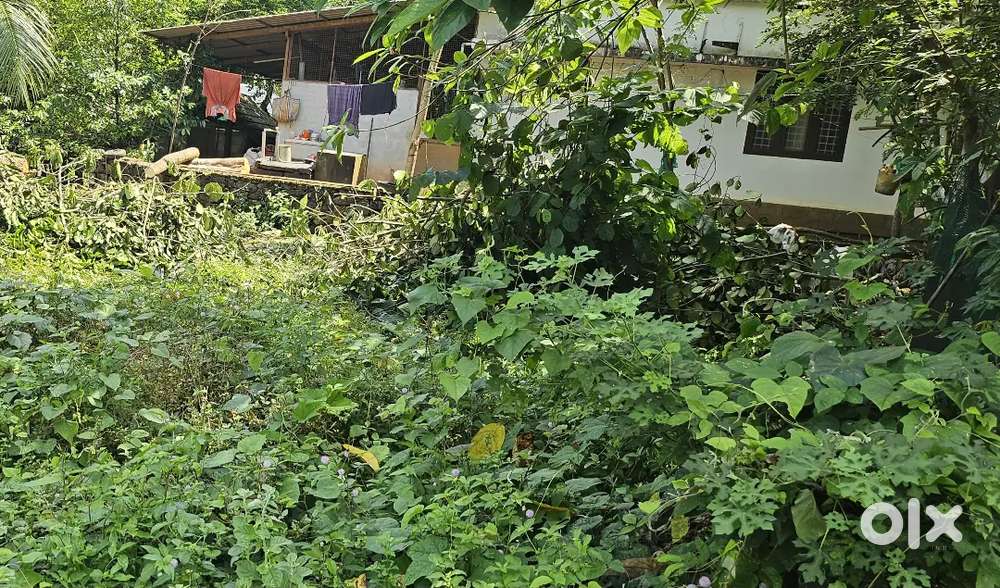 20 cent plot for sale in chunkal