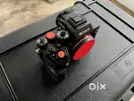SONY 7S3 and smallrig