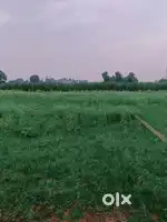 Plot hi plot Har Size Ka Plot