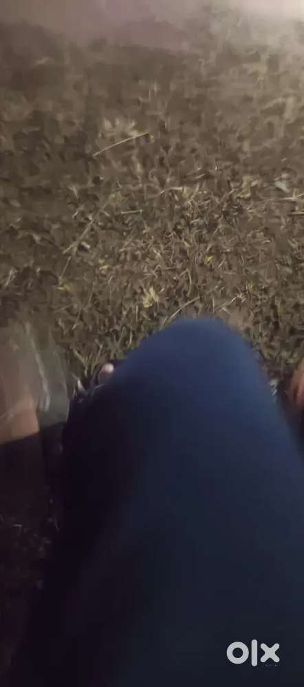 Two cents or 98 gazas