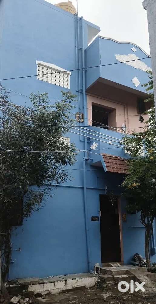 Individual house rent