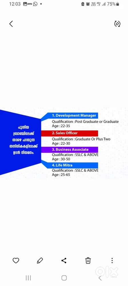 DEVELOPMENT MANAGER / Sales Officer