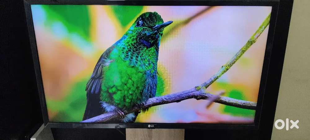 LG TV -model number 32LM560BPTC. It is a 32-inch LED TV.