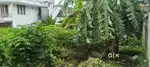 8.200CENTS PRIME RESIDENTIAL PLOT FOR SALE NEAR KUMARAPURAM