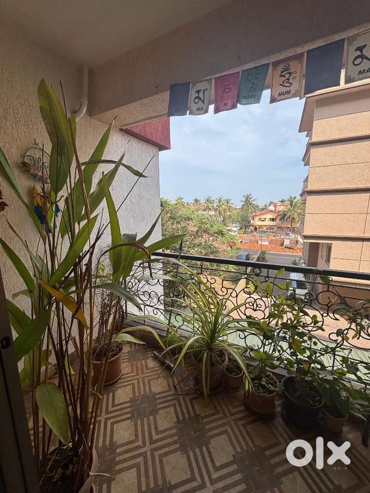 2 bhk sea view flat for rent in Mathias Ocean park donapaula.