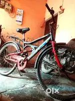 1 years old Cycle