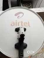 DTH Dish chatri