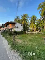 Commercial land for sale Near new bustand koyilandy Asking 20 lacks pe