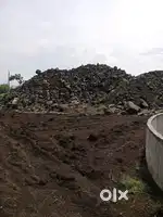 Murum vikane ahe