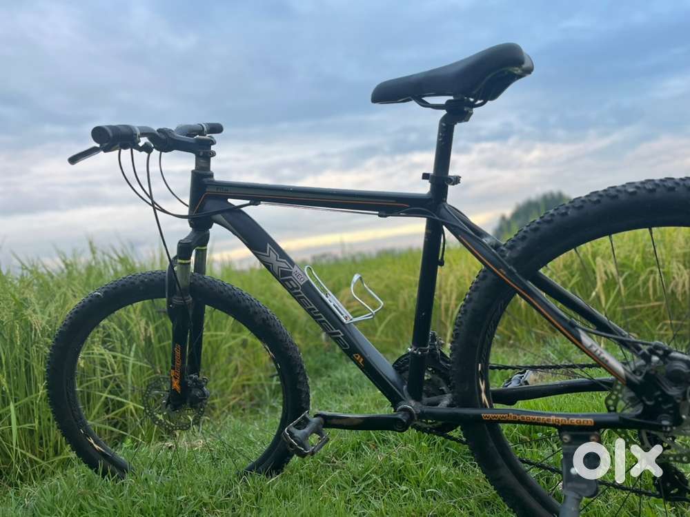 ‍️ X-Bicycle Mountain Bike  Excellent Condition  Ready to Ride