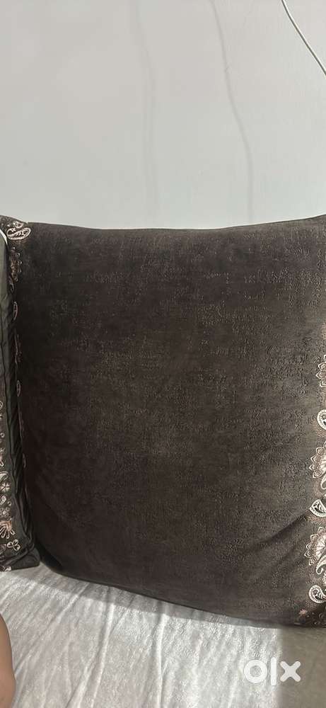 Sofa Cushion on sale