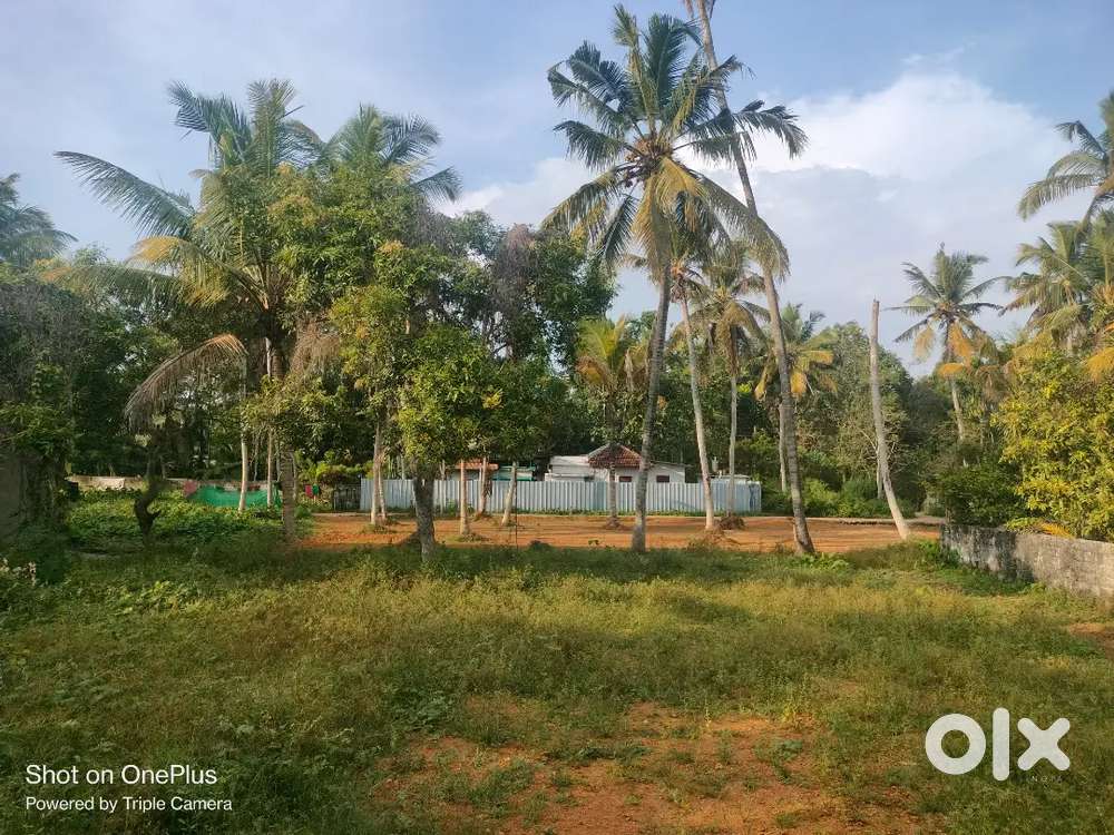 4.5 cent residential plot for sale - 50 m from NH highway