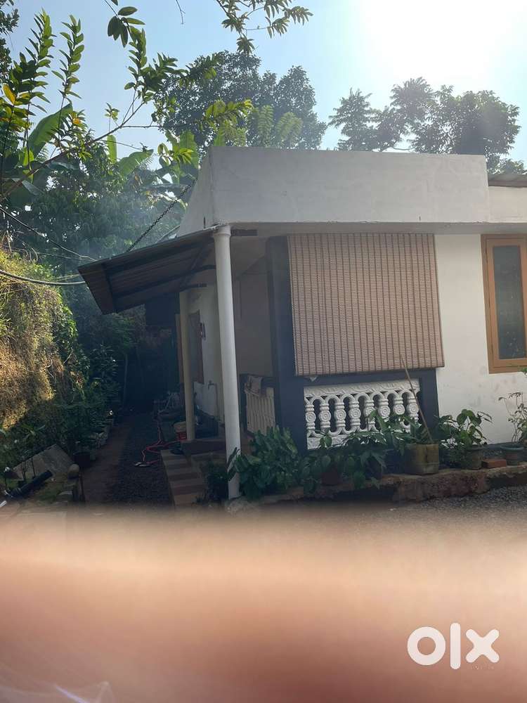 6cent Home in Affordable price!!️