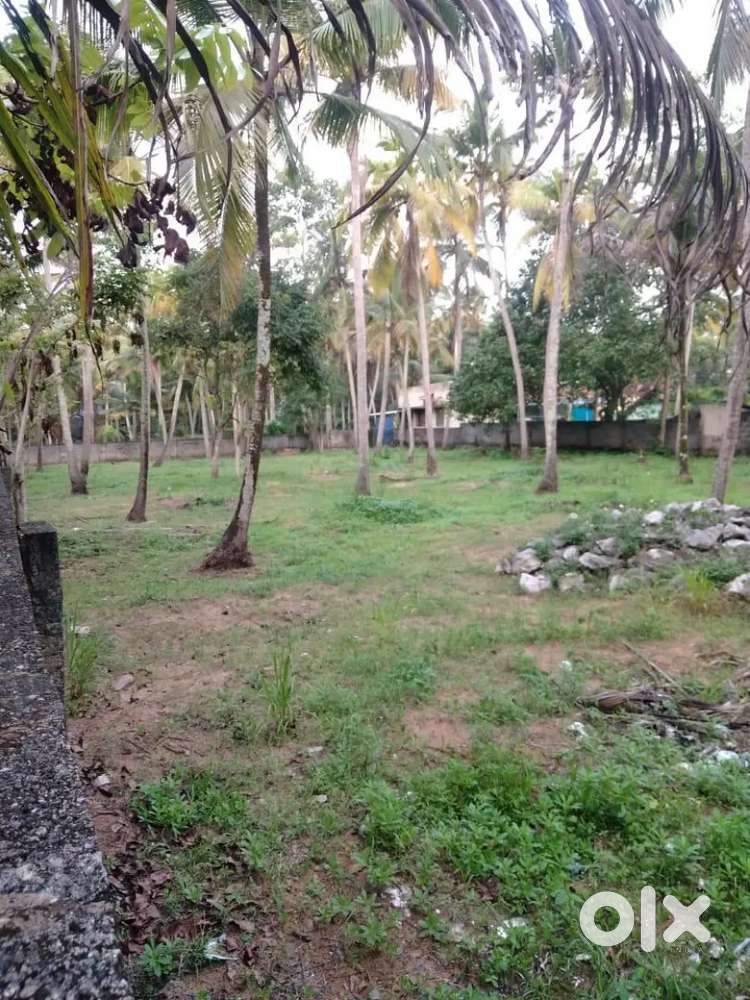 30 cents land for sale