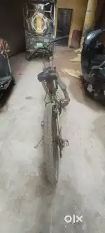 With gear 2 years old