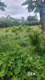Plot for sale