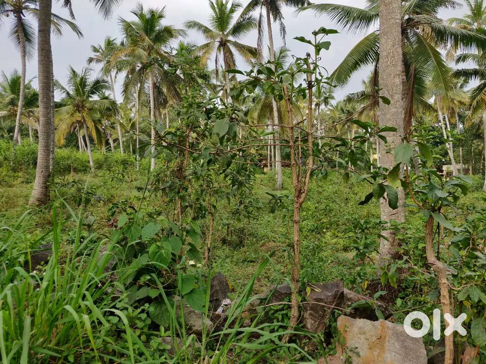 5 cent sq plot azhakulam kovalam