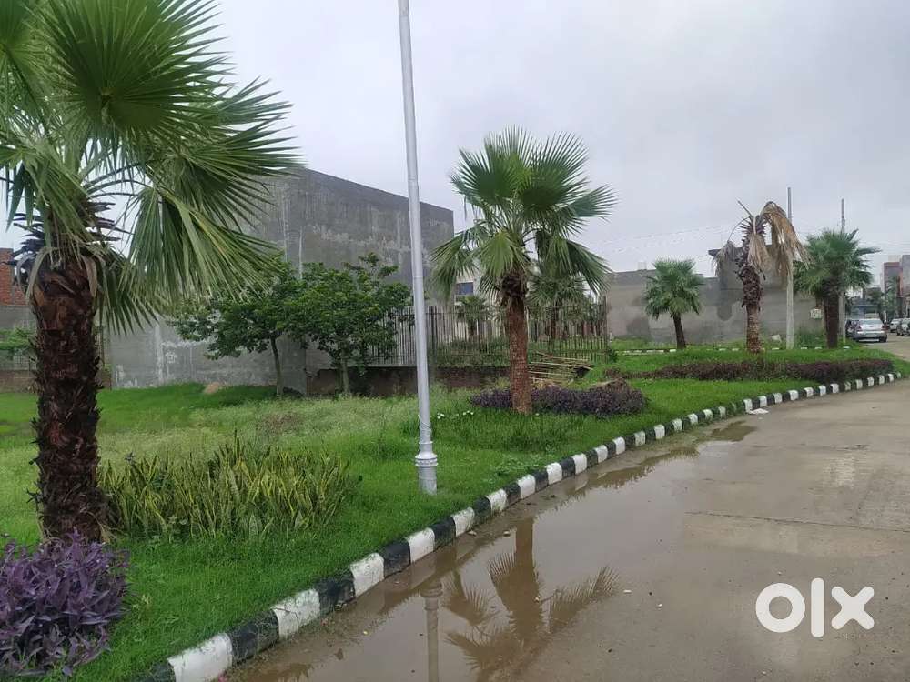 98 gaj plot only in 20000 per sq yds