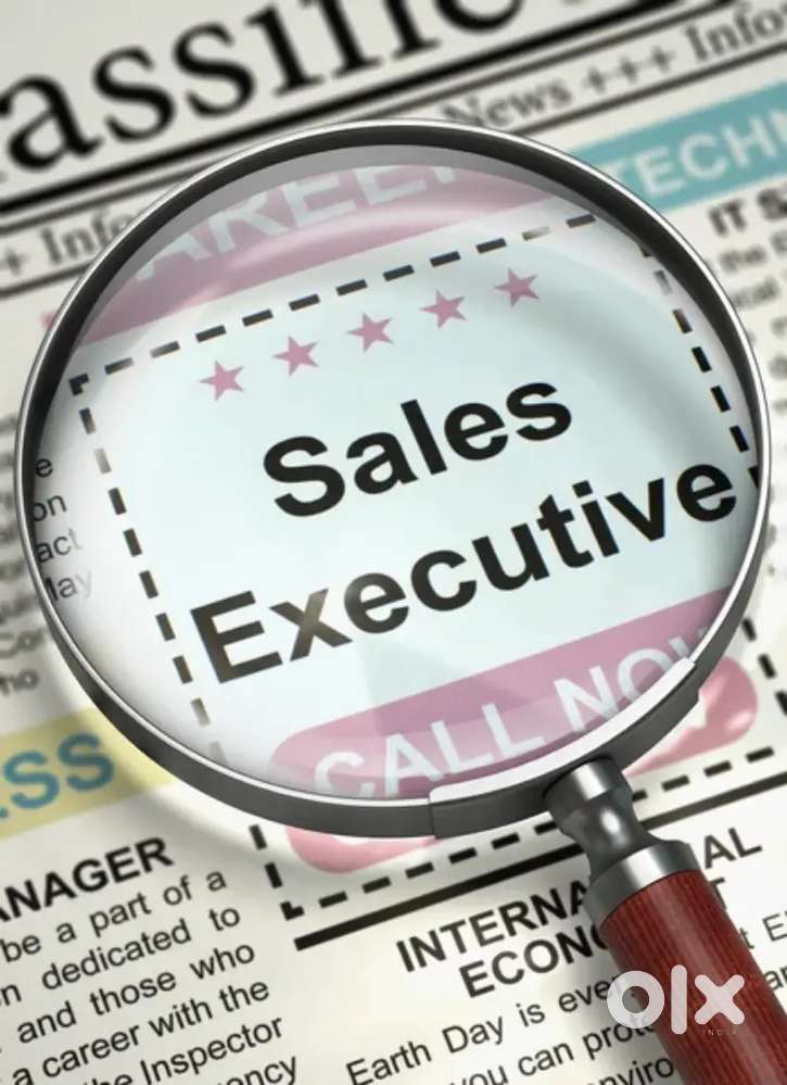 Sales Executive