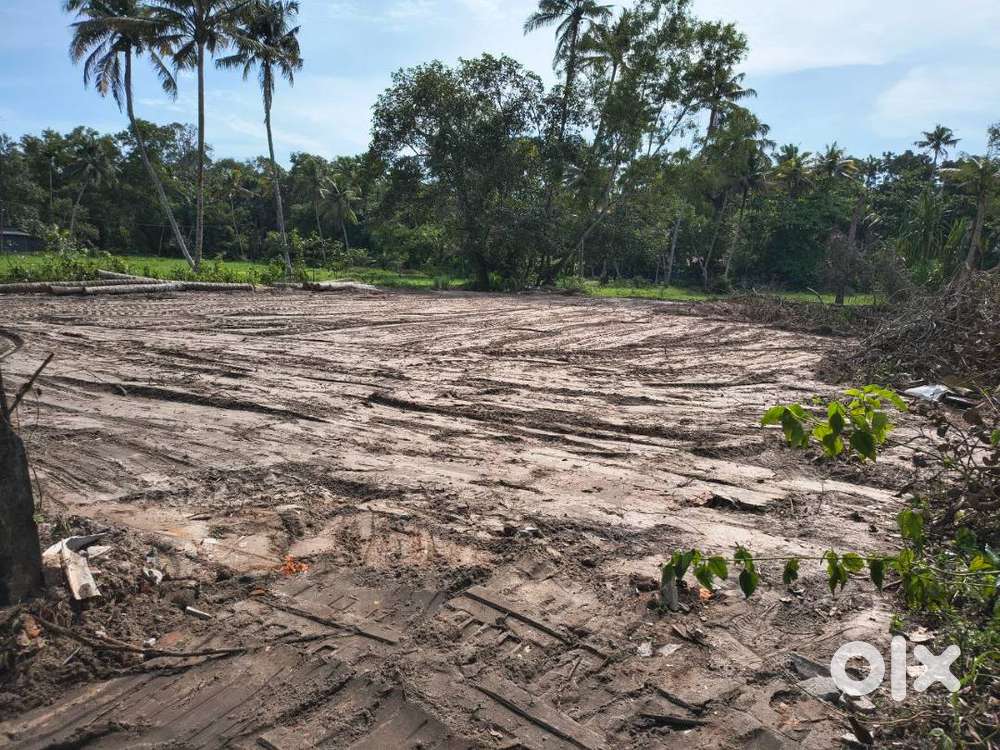 തിരുവിഴ പടിഞ്ഞാറ് 22 സെൻറ് സ്ഥലം വിൽപ്പനയ്ക്ക്