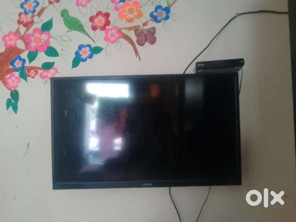 Croma TV at  reasonable price