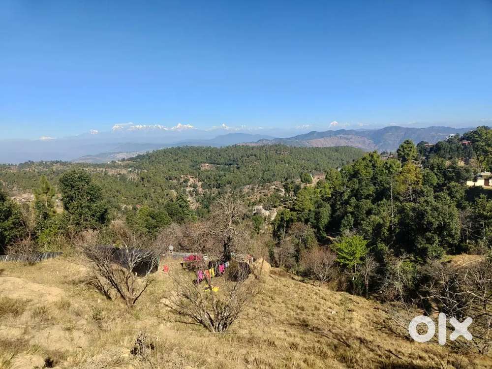 Property best location Himalaya view bijali pani uplabdh h.