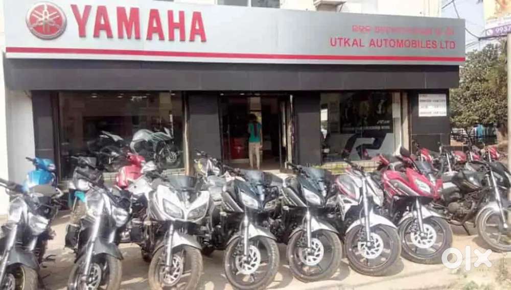 Need Some Boys Or Girls for yahama showroom