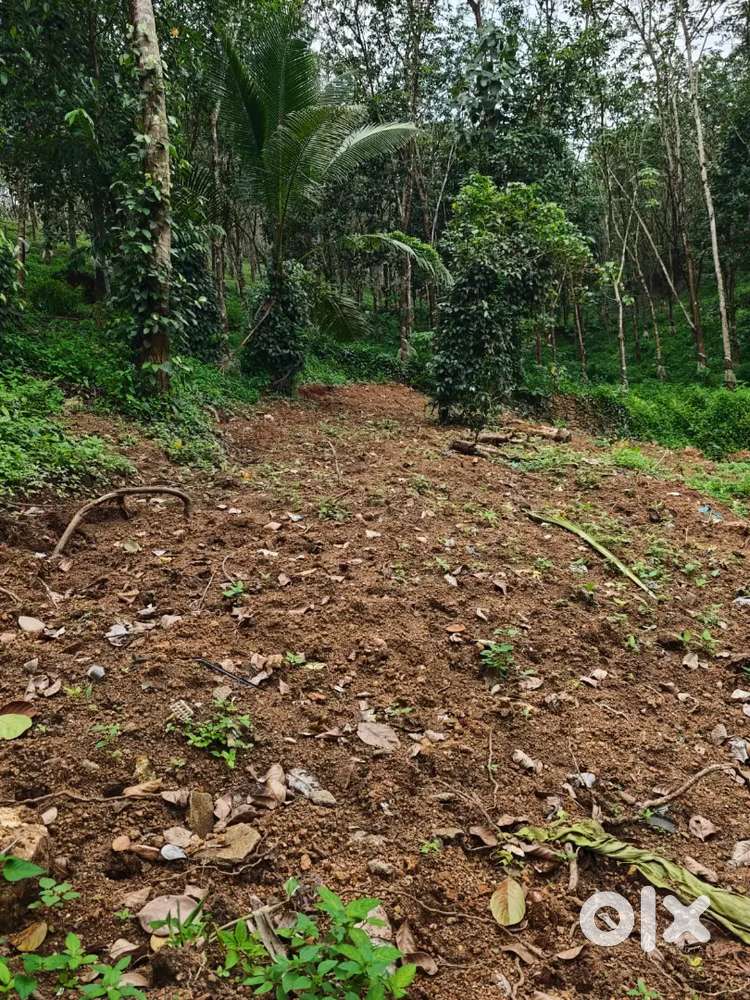 House plot for sale