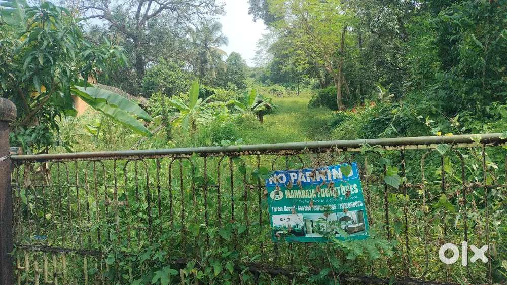 Plots, banglows,flats shops,farm lands in goa n sindhudurg