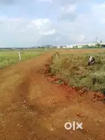 Plots sell- odisha Bhubaneswar patrapada