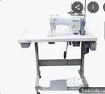 Cutting master for Ladies Boutique