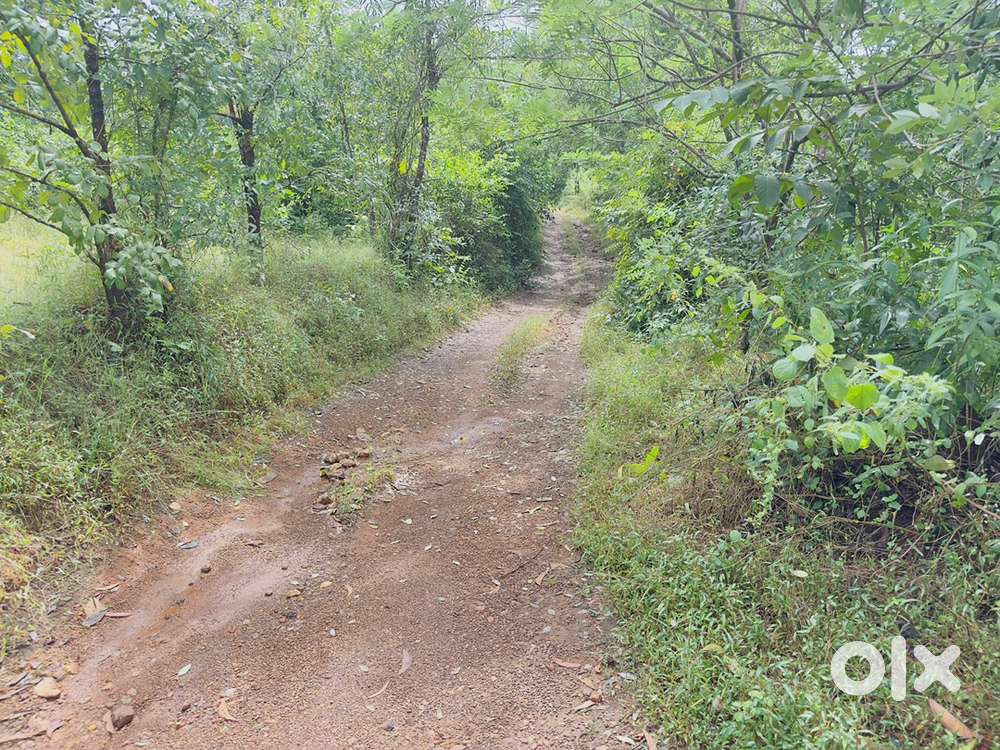 dal City ■ Location: Kavilgaon – Nerur, Taluka Kudal, Sindhudurg