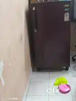 Fridge and mini cooler