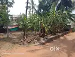 Residential Land Kolazhy 7 Cent