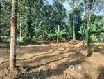 Plot for sale
