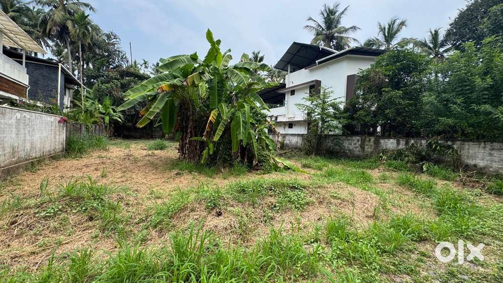 Land for sale 12.5cent