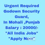 Godown Security Guard Job Mohali, Punjab - All India