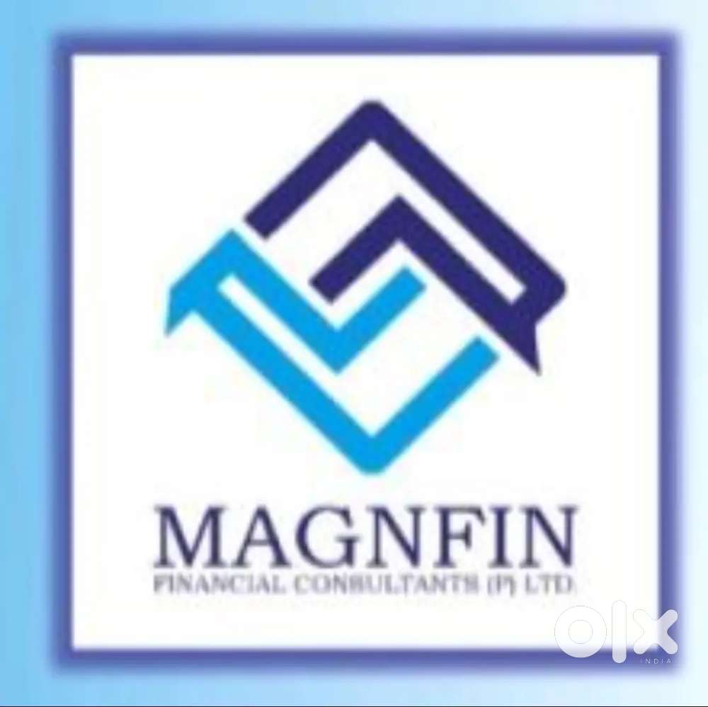 Financial Executive