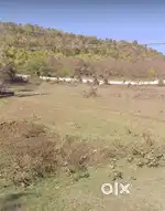 Commercial plot
