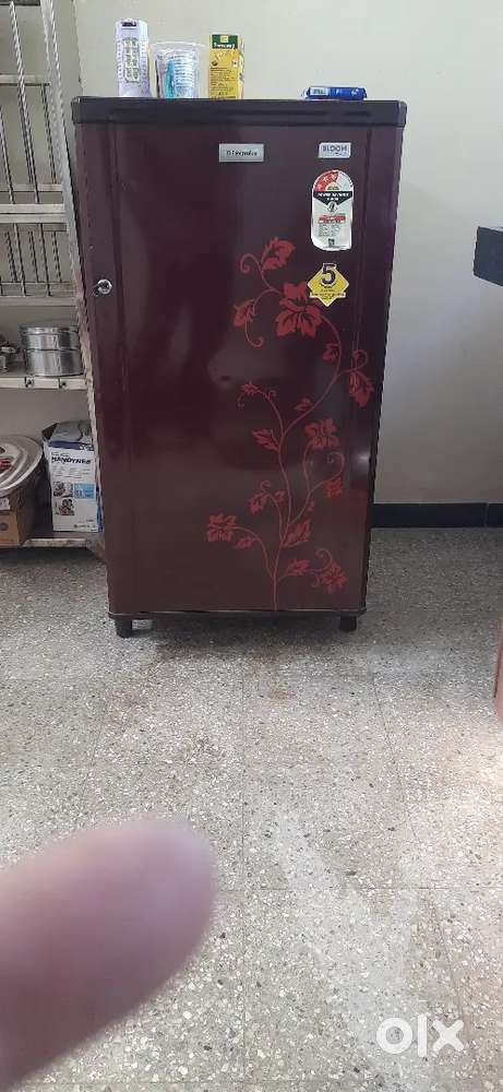 Electrolux refrigerator single door