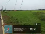 Odish low cost pilot