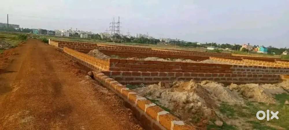 Allms hospital back side