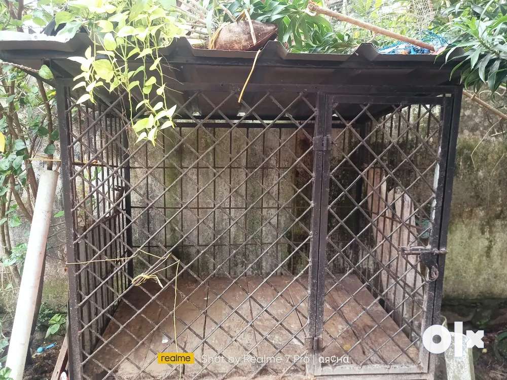 Cage for sale 8000