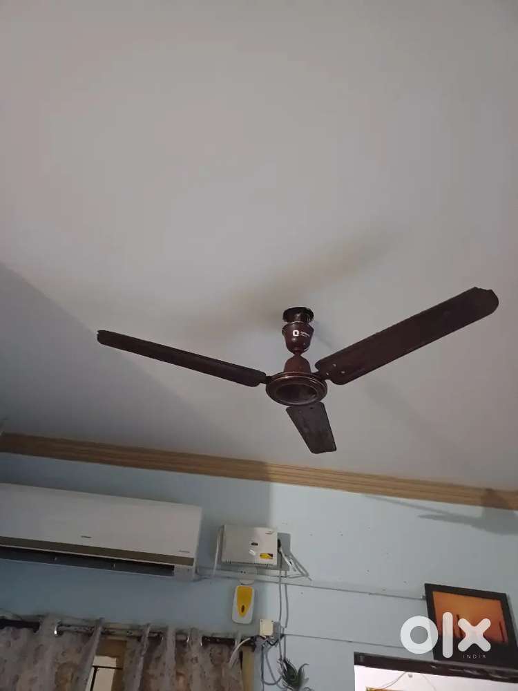 Ceiling fans for sell
