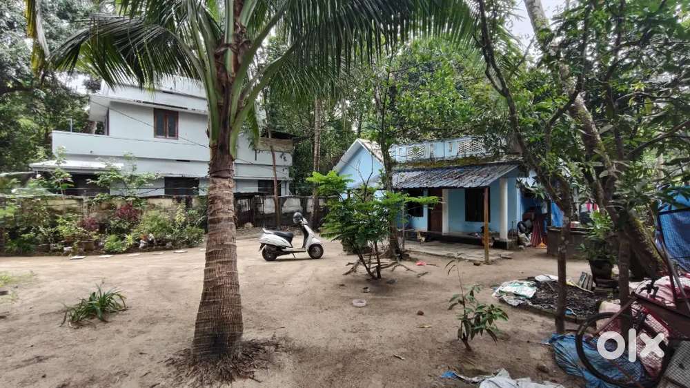 10.25 cent. Near Guruvayurtemple1.7km (east nada). Nearthaikkadvillege